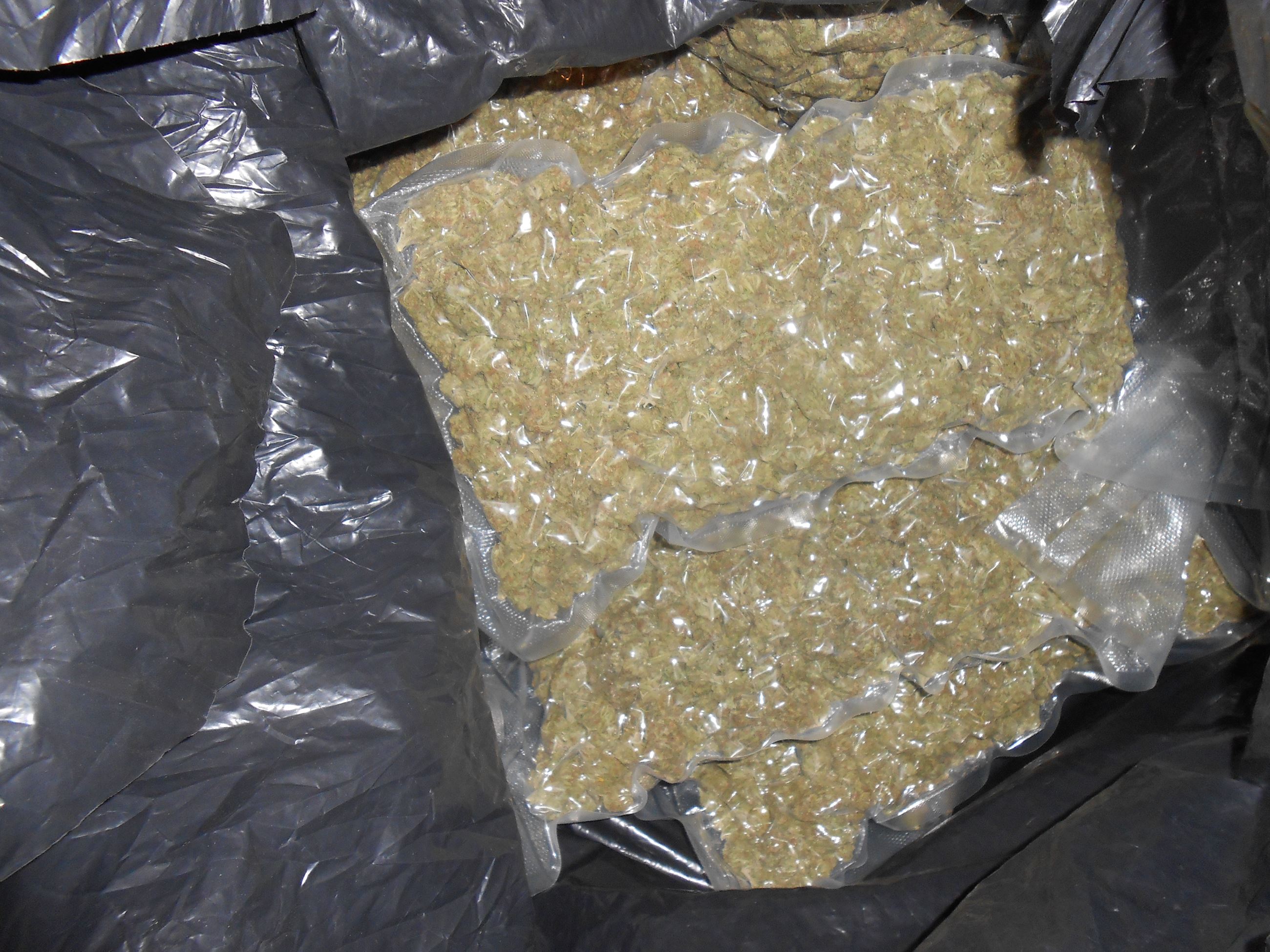 201505448 more packaged marijuana